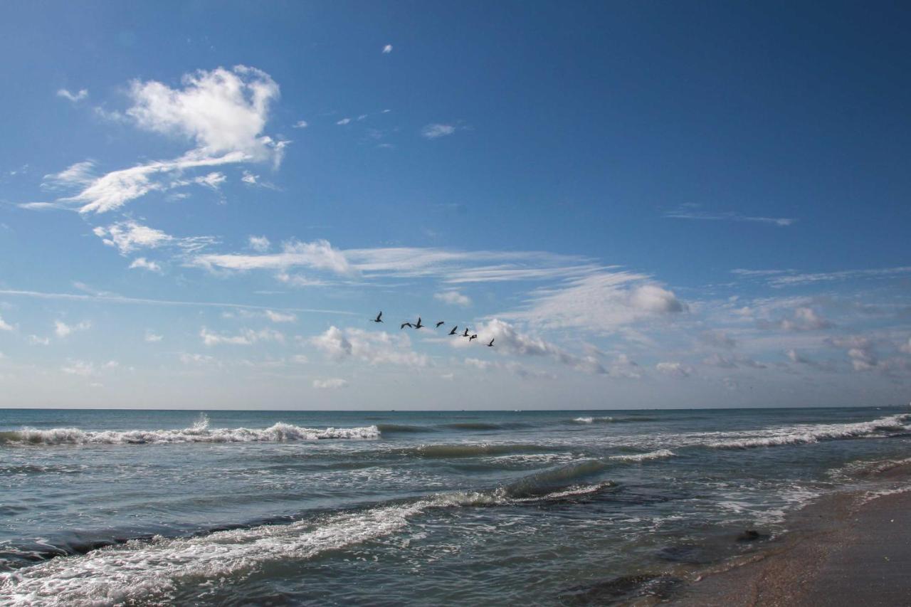 Walk To Shore Satellite Beach Condo With Ocean View Exteriör bild